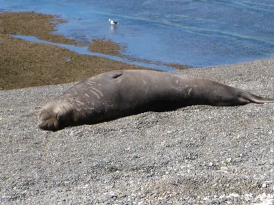 Puerto Madryn — 24 September 2007