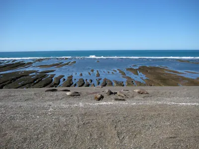 Puerto Madryn — 24 September 2007