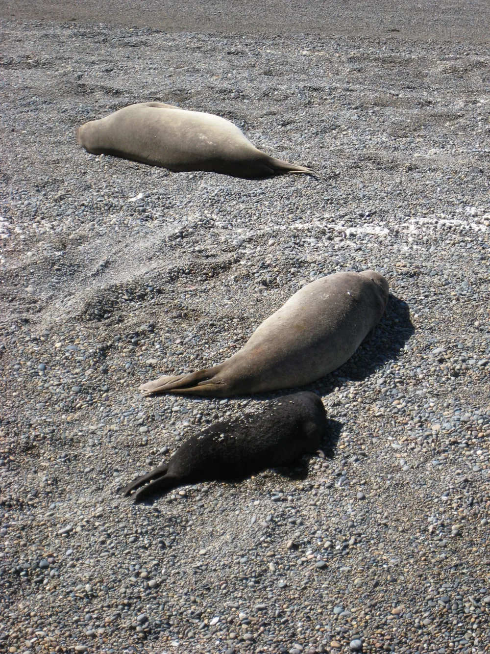 Puerto Madryn — 24 September 2007