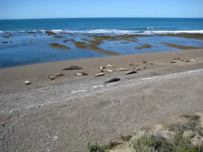 Puerto Madryn — 24 September 2007