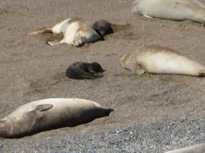 Puerto Madryn — 24 September 2007