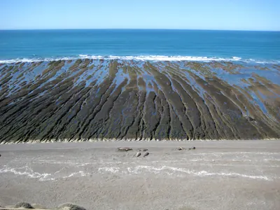 Puerto Madryn — 24 September 2007