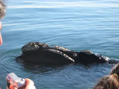Puerto Madryn — 24 September 2007