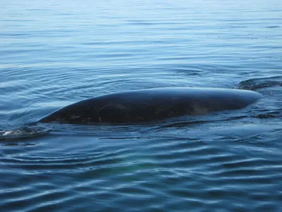 Puerto Madryn — 24 September 2007