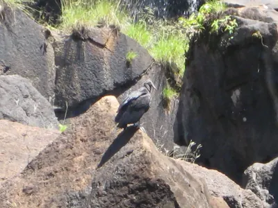 Iguazú Falls — 13 October 2007
