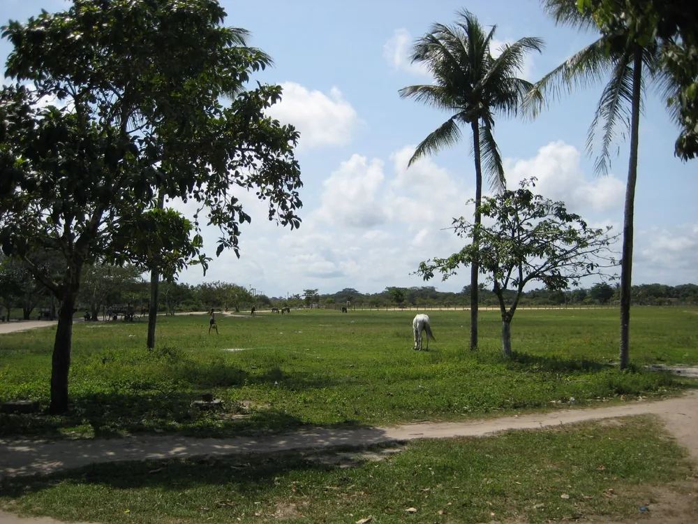 Porto Seguro — 23 October 2007