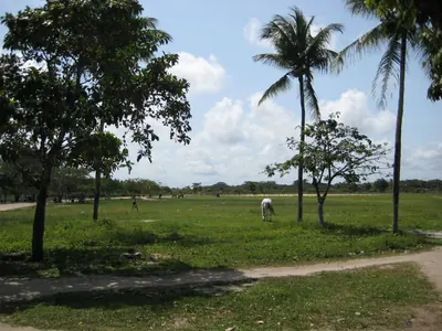 Porto Seguro — 23 October 2007