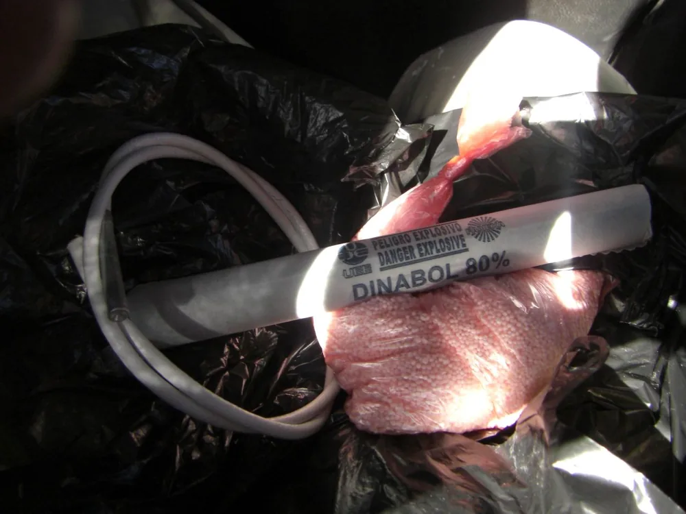 A completo - dynamite, fuse, Amonium Nitrate — Potosí — 28 June 2007