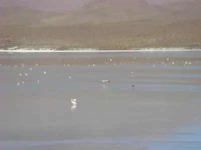Salar de Uyuni — 3 July 2007