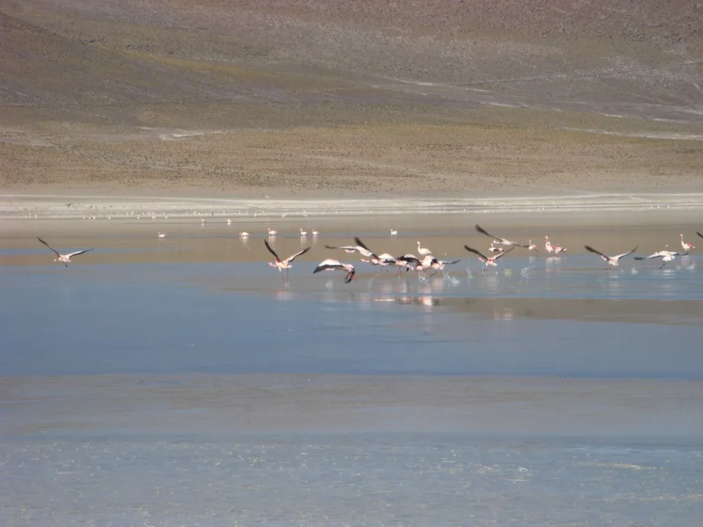 Salar de Uyuni — 3 July 2007