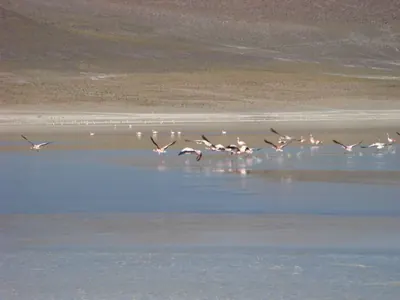 Salar de Uyuni — 3 July 2007