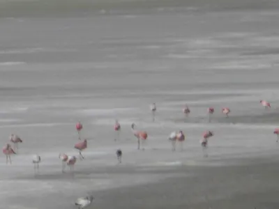 Salar de Uyuni — 3 July 2007
