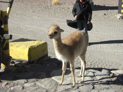 Salar de Uyuni — 3 July 2007