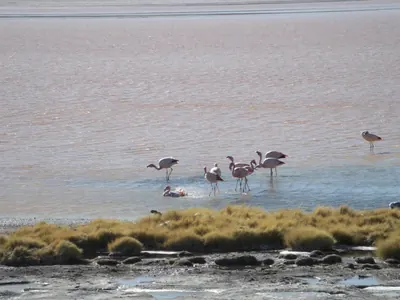 Salar de Uyuni — 3 July 2007