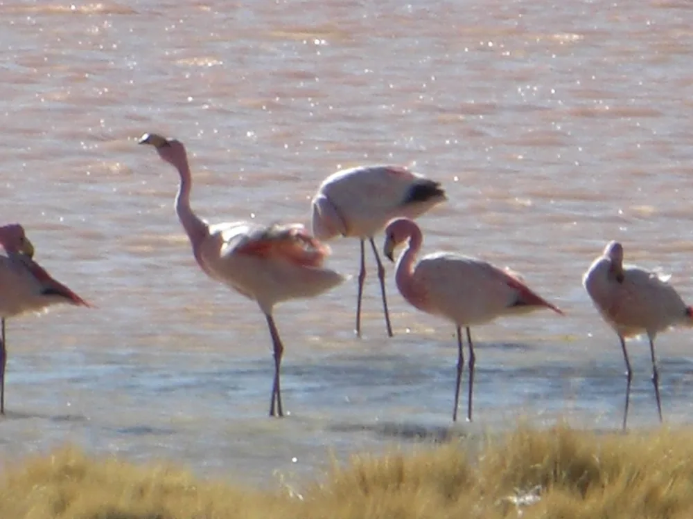 Salar de Uyuni — 3 July 2007