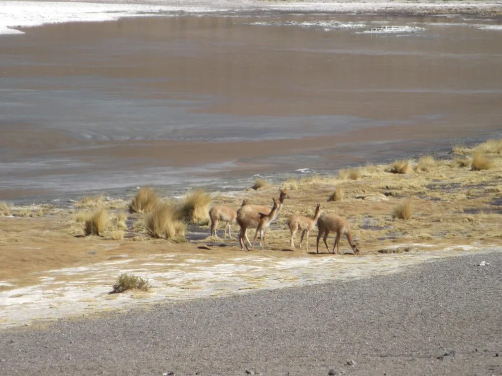 Salar de Uyuni — 3 July 2007