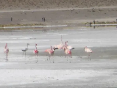 Salar de Uyuni — 3 July 2007