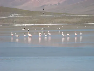 Salar de Uyuni — 3 July 2007