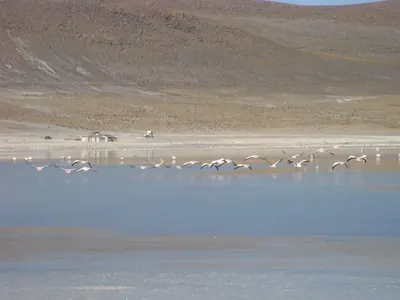 Salar de Uyuni — 3 July 2007