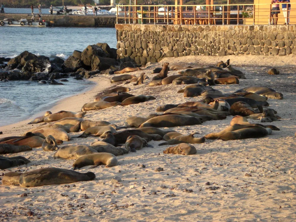 San Cristóbal, Galápagos — 9 May 2007