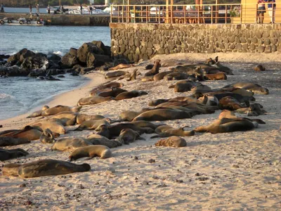 San Cristóbal, Galápagos — 9 May 2007