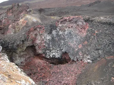 Isabela, Galápagos — 12 May 2007
