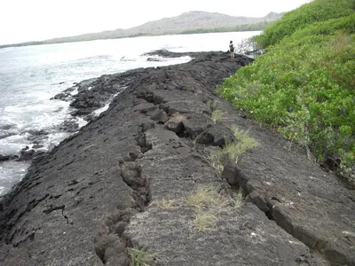 Isabela, Galápagos — 13 May 2007