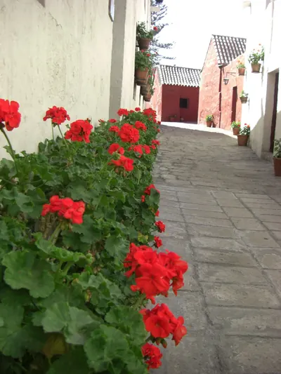 Arequipa — 10 July 2007