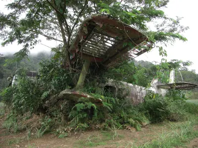 Manú jungle — 29 May 2007