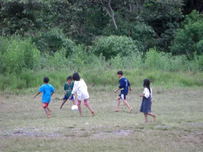 Manú jungle — 29 May 2007