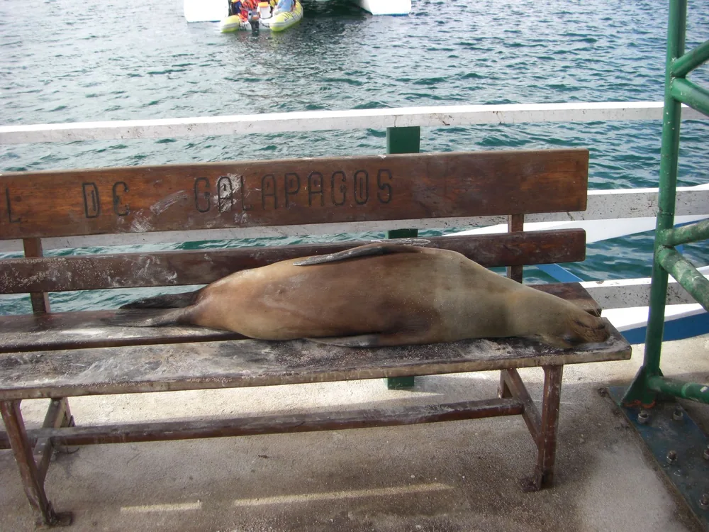 The Galápagos Islands — 6 May 2007