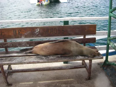 The Galápagos Islands — 6 May 2007