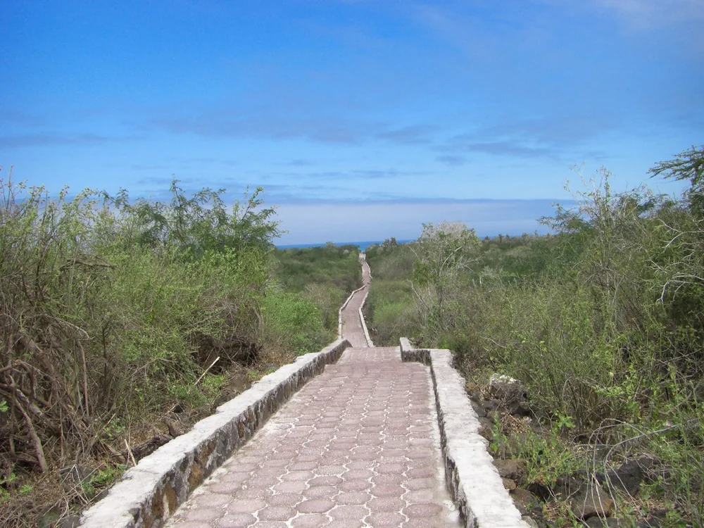 The Galápagos Islands — 7 May 2007