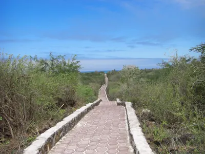The Galápagos Islands — 7 May 2007