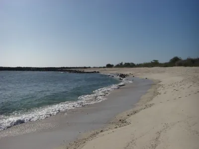The Galápagos Islands — 8 May 2007