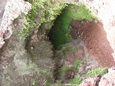 Isabela, Galápagos — 12 May 2007