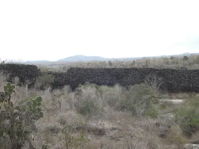 Isabela, Galápagos — 13 May 2007