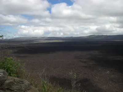 Isabela, Galápagos — 12 May 2007