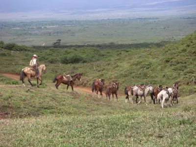 Isabela, Galápagos — 12 May 2007