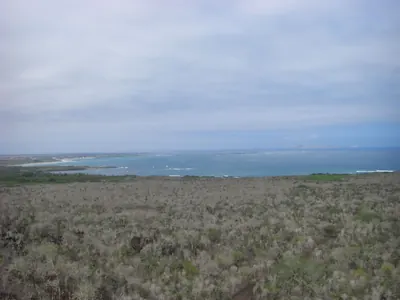Isabela, Galápagos — 13 May 2007