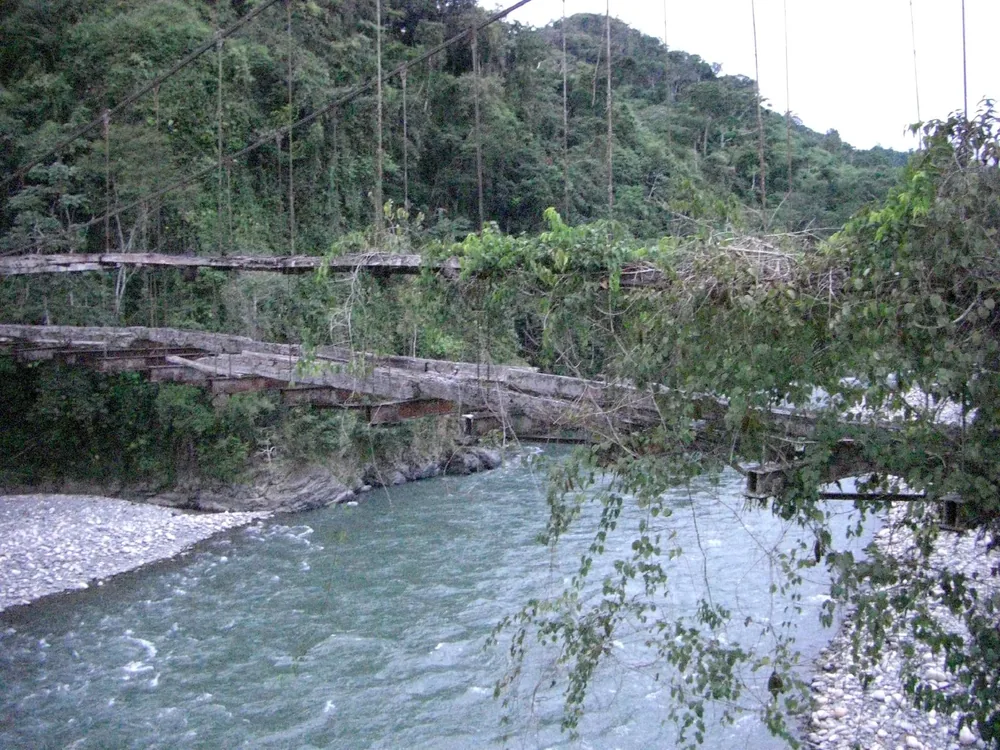 Manú jungle — 28 May 2007