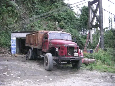 Manú jungle — 28 May 2007