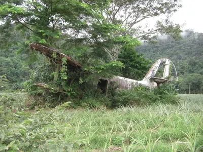 Manú jungle — 29 May 2007