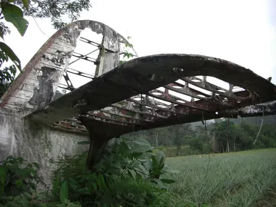 Manú jungle — 29 May 2007
