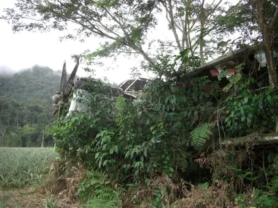 Manú jungle — 29 May 2007