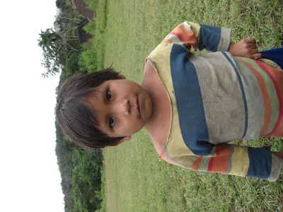 Manú jungle — 29 May 2007