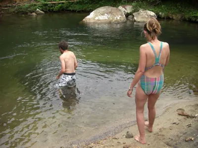 Manú jungle — 29 May 2007