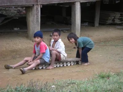 Manú jungle — 29 May 2007