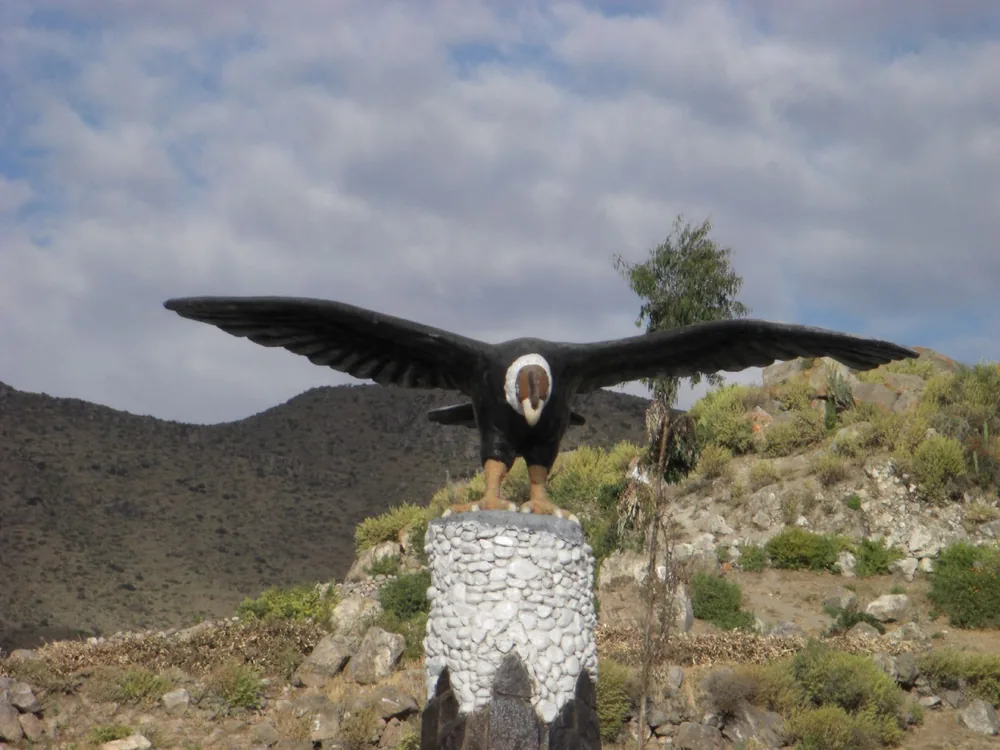 Colca Canyon — 11 July 2007