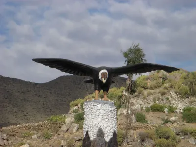Colca Canyon — 11 July 2007
